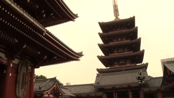 Five Storied Pagoda and Kannon do Temple in Tokyo Japan — Stockvideo